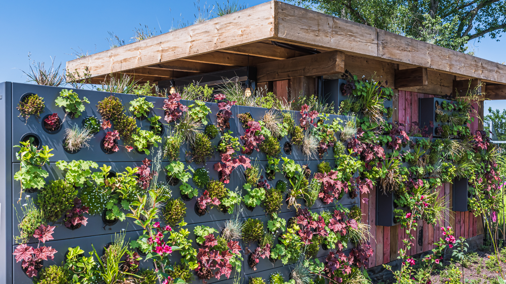 Beneficios de un jardin vertical en Madrid crea tu oasis urbano