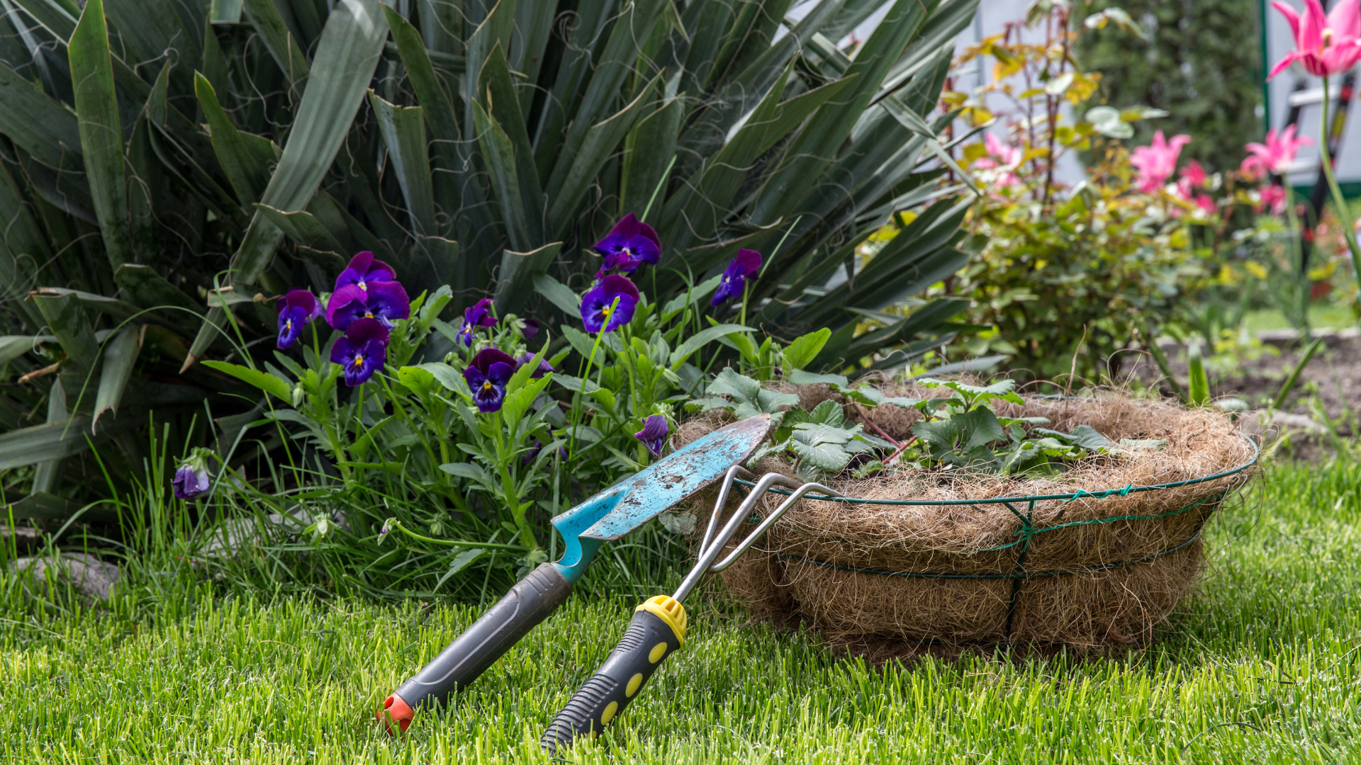 Jardineros en Madrid servicios que necesitas conocer