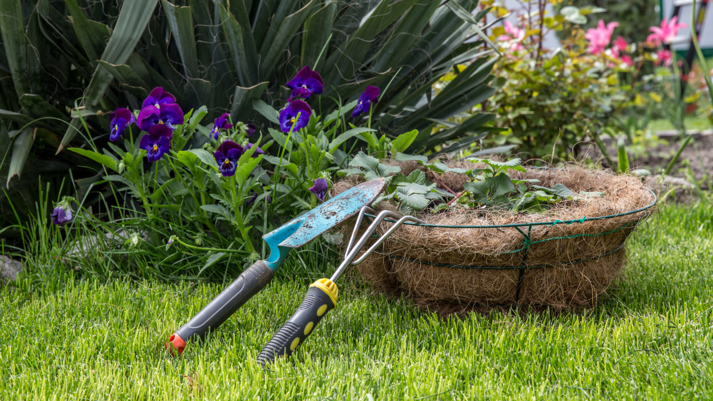 Descubre por qué contratar una empresa de jardinería en Madrid te ayudará a mantener tu jardín impecable durante todo el año.